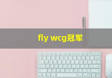 fly wcg冠军